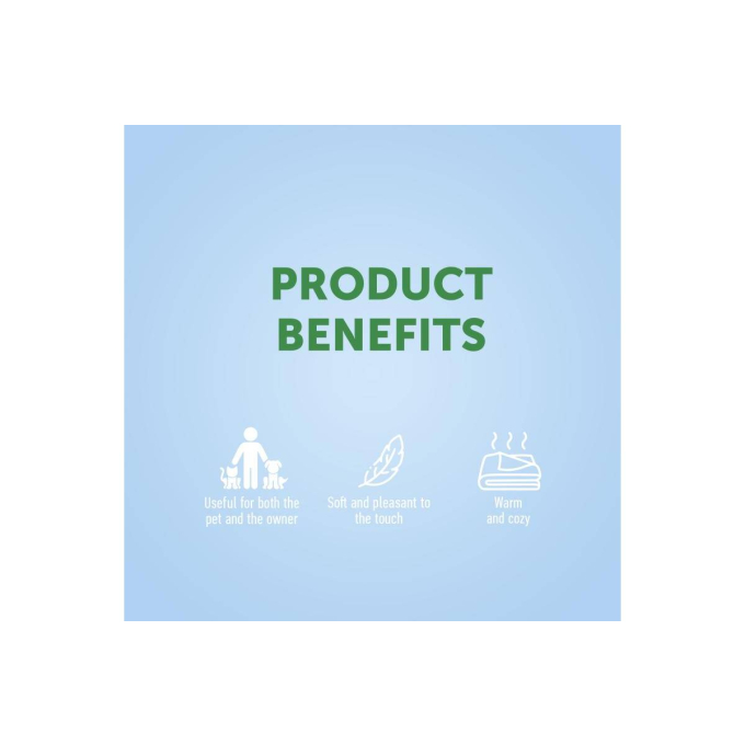 blanket, with kittens - 1