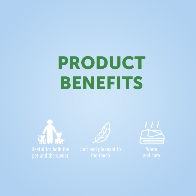 blanket, with kittens - 1