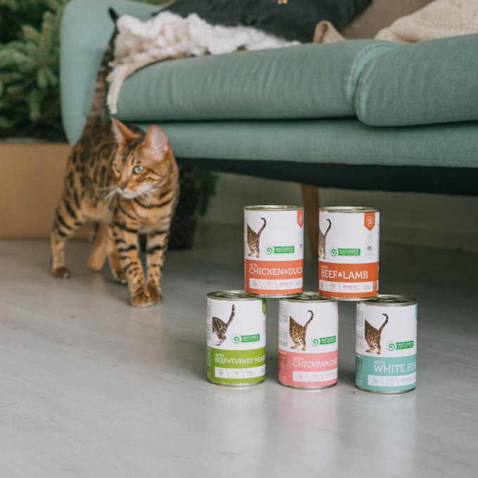 canned pet food for adult cats with chicken and cheese - 2