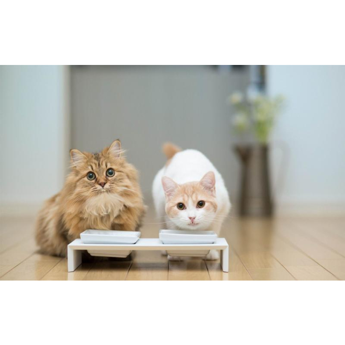 Faugis, complementary feed for adult dogs and cats, wellness formula 5in1 - 4