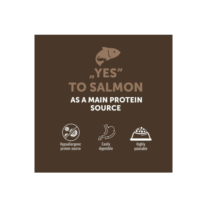 dry grain free food for kittens with salmon - 2