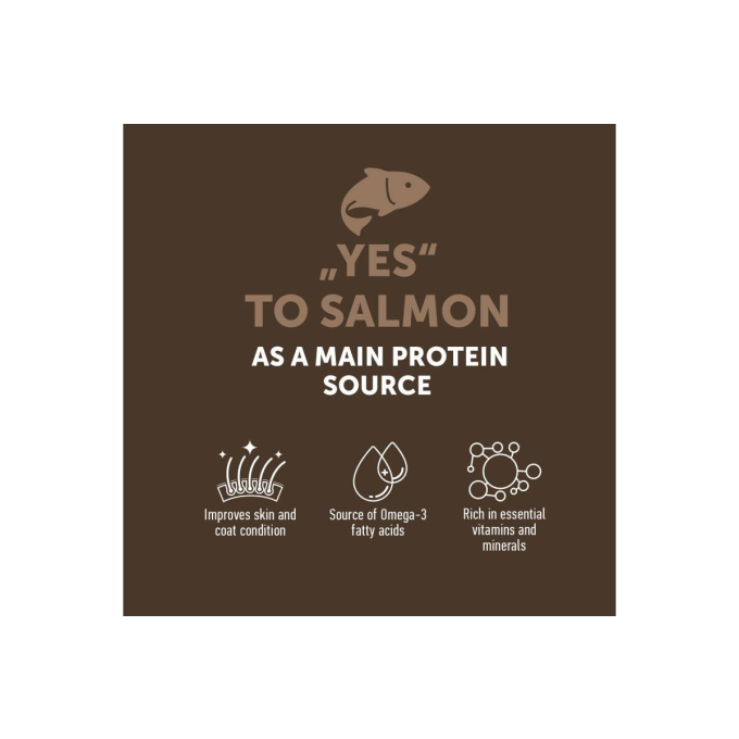 dry grain free food for kittens with salmon - 3