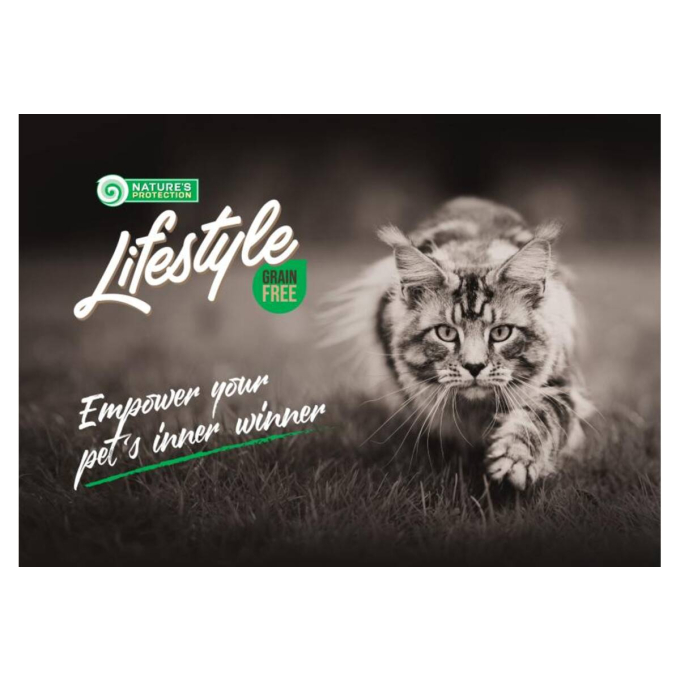 dry grain free food for kittens with salmon - 7