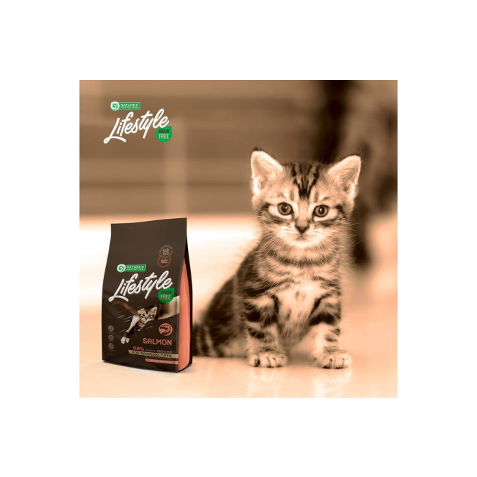 dry grain free food for kittens with salmon - 6