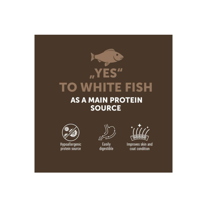 dry grain free food for adult cats with white fish - 2