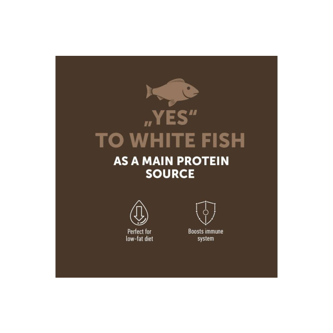 dry grain free food for adult cats with white fish - 3