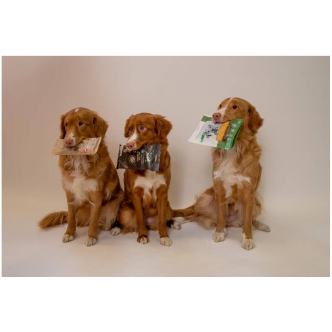 complementary feed – snacks for adult dogs of all breeds with poultry - 4