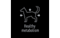Unique icon 3 complementary grain free feed – snacks for adult dogs with salmon Unique icon 3 complementary grain free feed – snacks for adult dogs with salmon