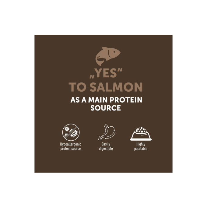 complementary grain free feed – snacks for adult dogs with salmon - 1