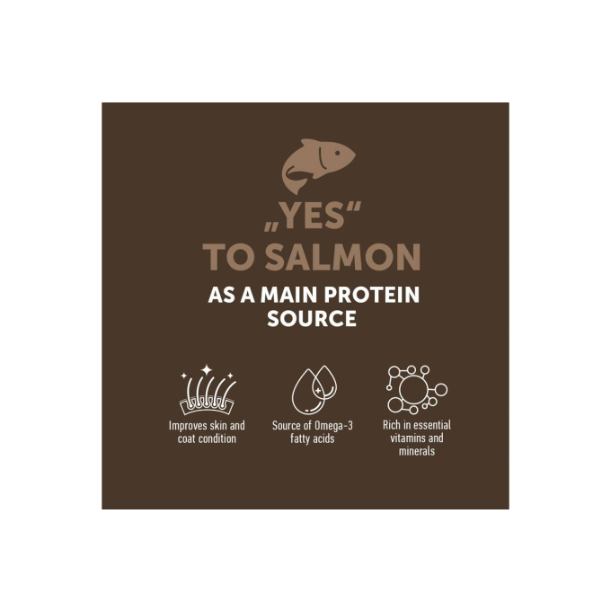 complementary grain free feed – snacks for adult dogs with salmon - 2