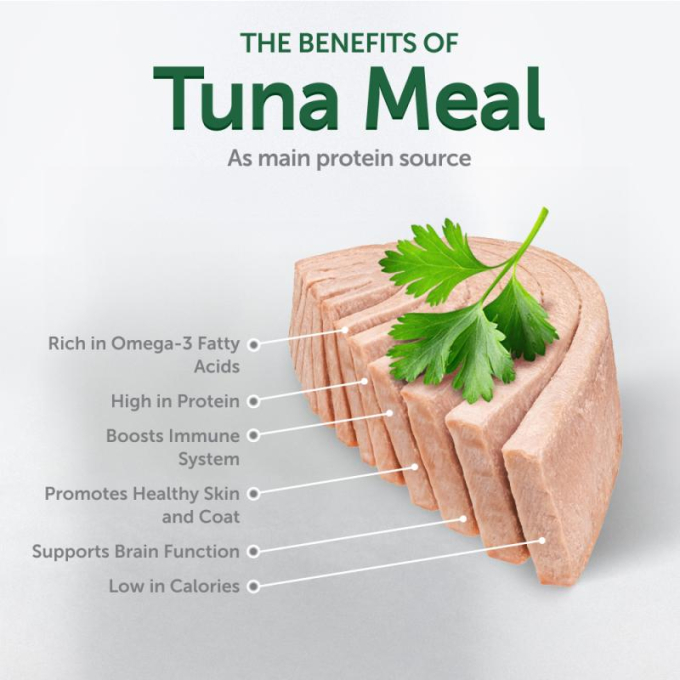 wet food supplement with tuna for adult red-coated dogs of all breeds - 2